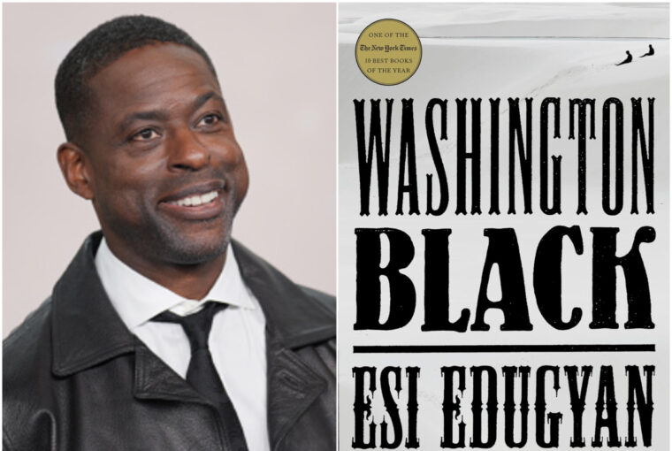 Sterling K. Brown stars in Hulu’s Washington Black series, based on Esi Edugyan’s acclaimed novel.